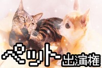 「スーパー野田ゲーMAKER」クラウドファンディングのリターン品。