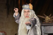 ワーナーブラザース スタジオツアー東京 メイキング・オブ・ハリー・ポッターのイベントにダンブルドア校長のコスプレで登場した霜降り明星せいや。