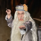 霜降りせいや「ハリー・ポッター」イベントで悪役退治「プライベートでやってます」