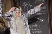 霜降り明星せいや