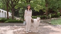 日本郵政テレビCM「ご近所散歩中・進化する郵便」編より、愛犬と散歩中のファーストサマーウイカ。