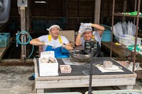 「有吉の壁 島の壁を越えろ！2時間SP」より。(c)日本テレビ