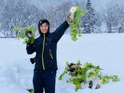 「脱・東京芸人」より。
