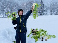 「脱・東京芸人」より。
