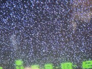 これまでに収集・提供されたさまざまな映像や物品を祓除するための式典「祓除」も実施される。担当は「Aマッソのがんばれ奥様ッソ!」の大森時生氏。