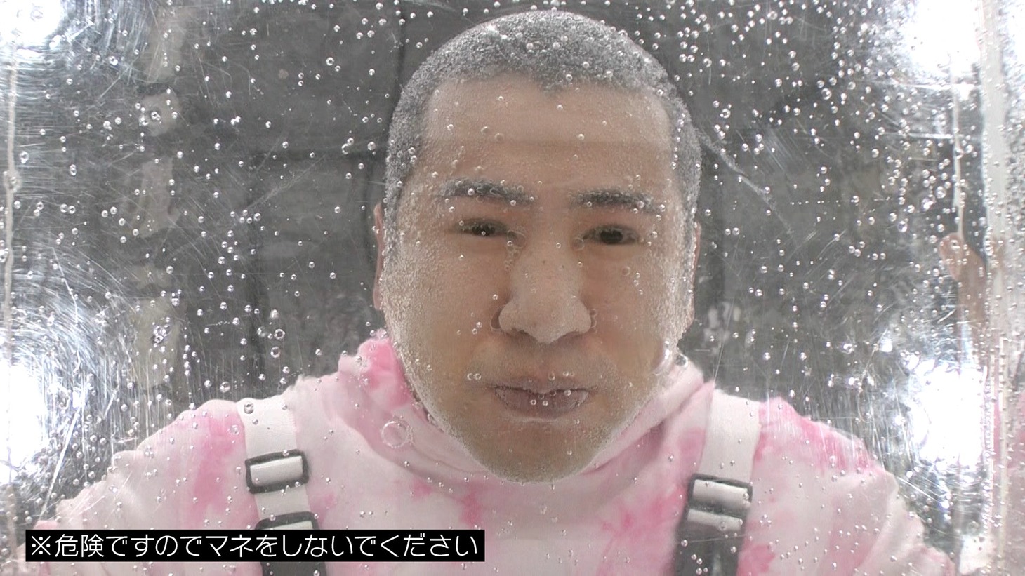 コットンきょん