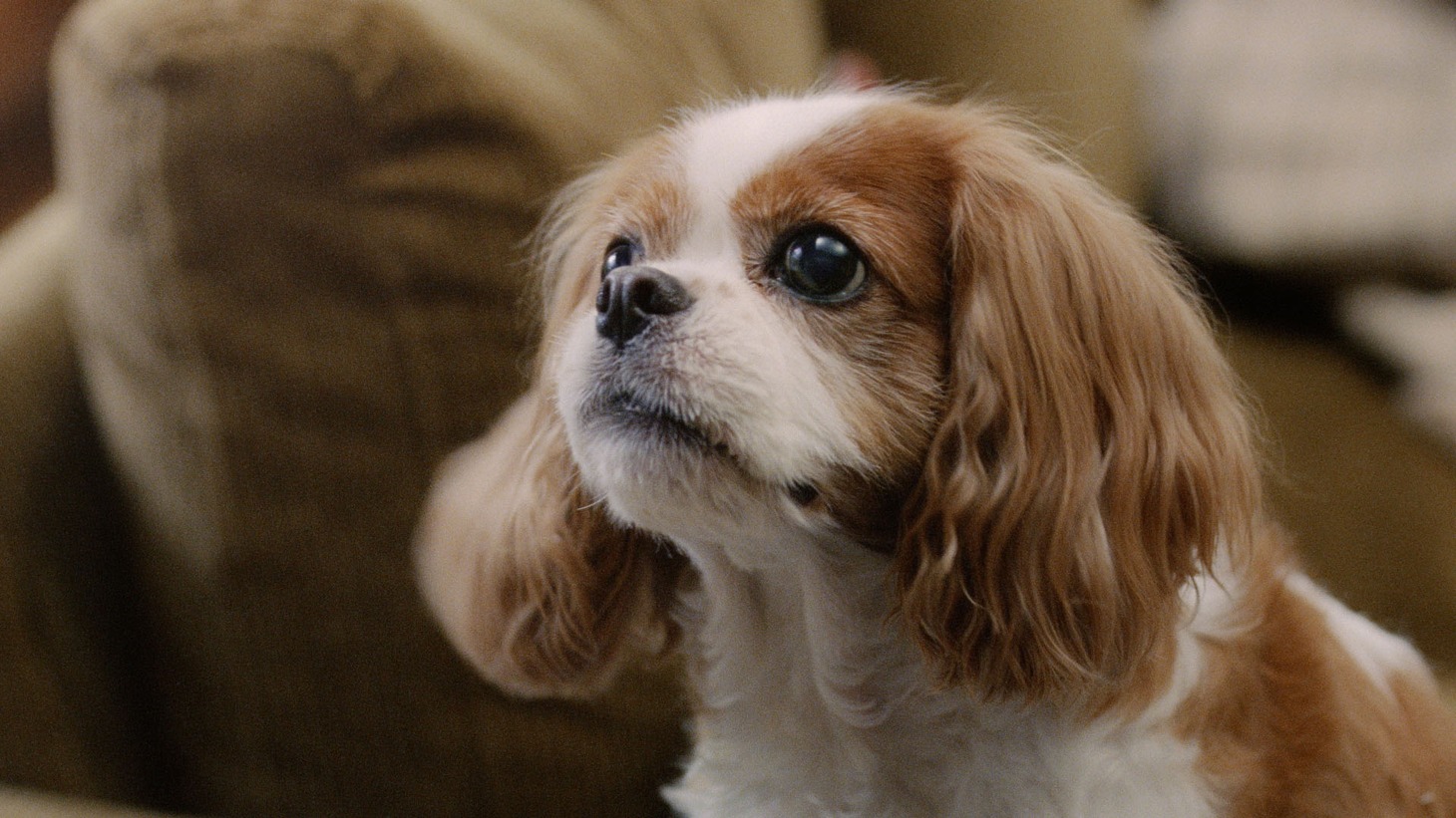 「年賀状の歌・大そうじ編」のワンシーン。