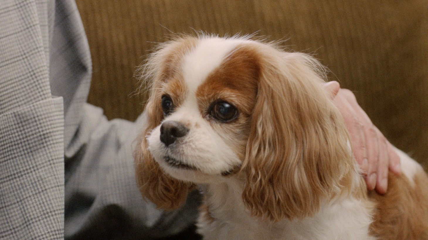 「年賀状の歌・大そうじ編」のワンシーン。