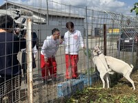 「なすなかにしのバズっちゃ!!」より。