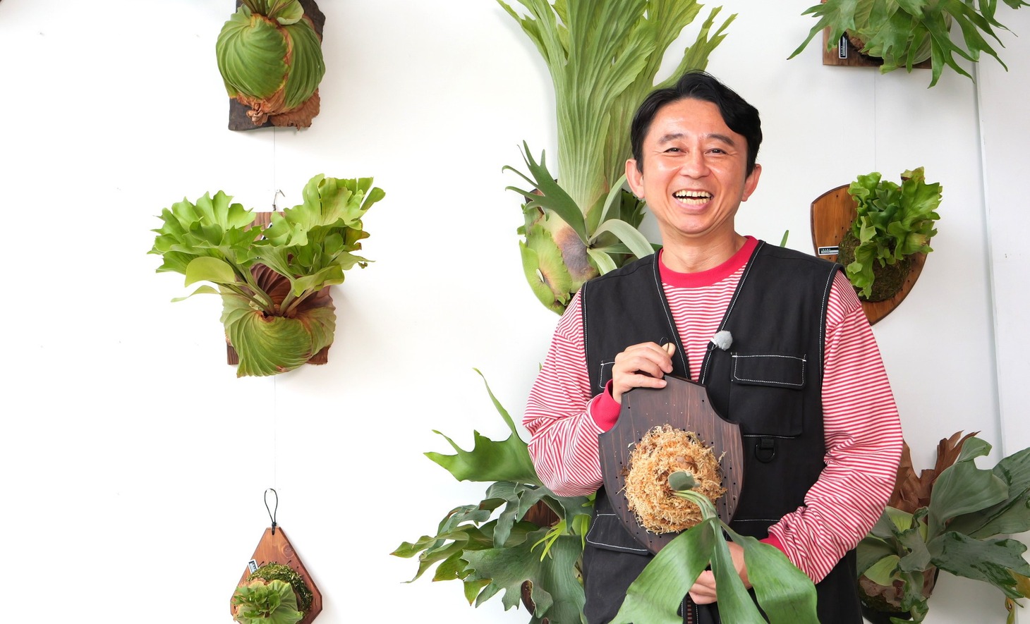 「夢が咲く 有吉園芸 ～Road to open a garden shop～」に出演する有吉弘行。(c)BS朝日