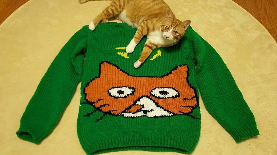 アイパー滝沢の愛猫。