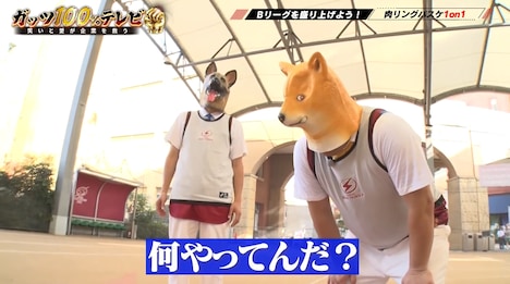 「ガッツ100%テレビ ～笑いと愛が企業を救う～」のワンシーン。