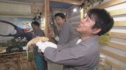 ノンスタ井上、藤崎トキ、祇園木崎が滋賀ロケでさまざまな生き物と触れ合う