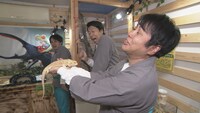「大阪ほんわかテレビ」のワンシーン。(c)読売テレビ