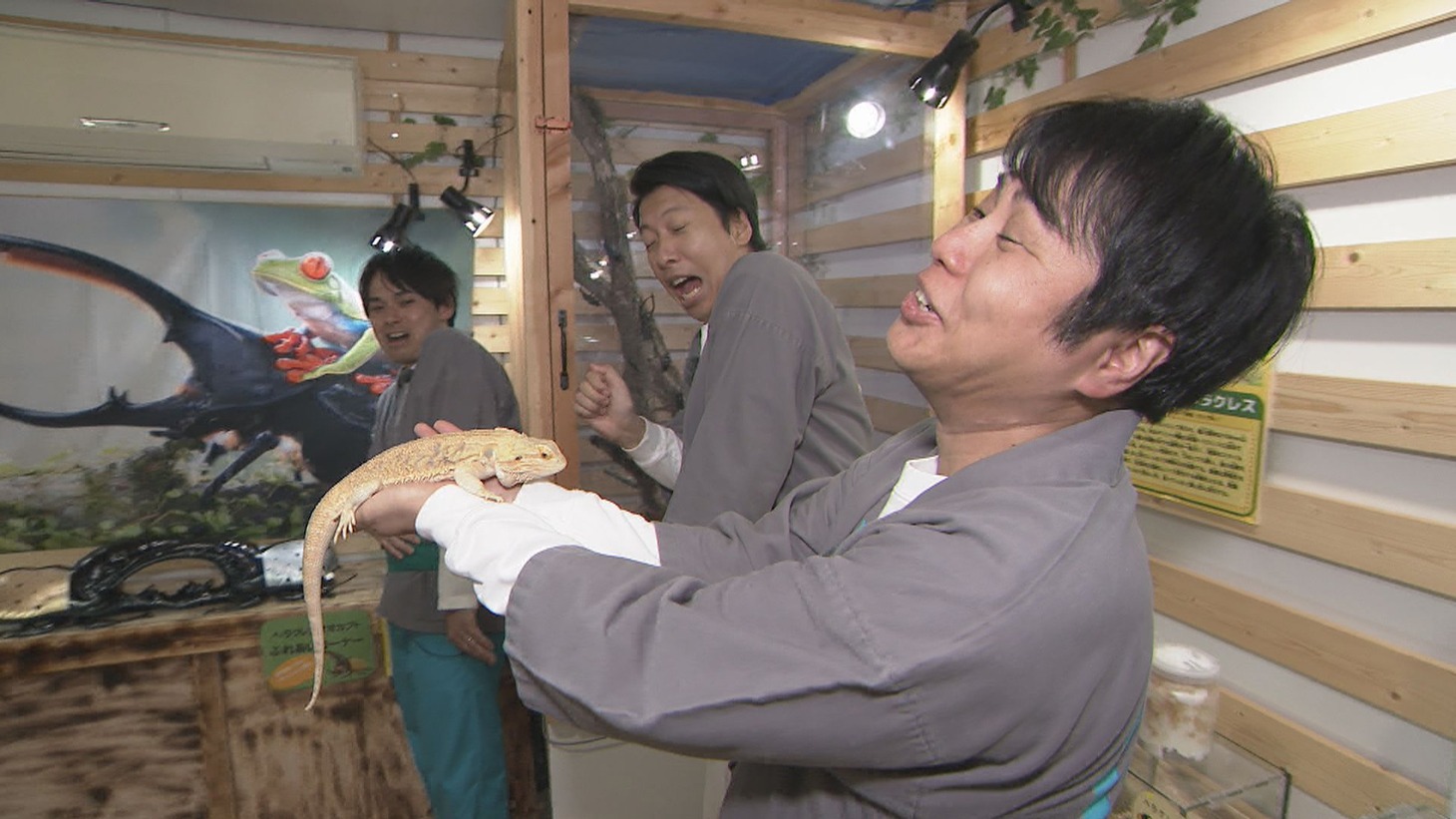 「大阪ほんわかテレビ」のワンシーン。(c)読売テレビ