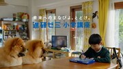 CM「とき直しチャウ」編より。