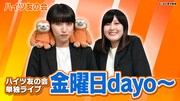 「ハイツ友の会単独ライブ『金曜日dayo～』」サムネイル