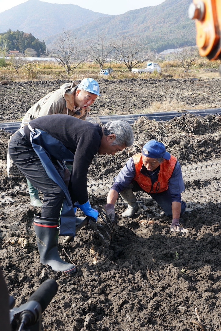 れんこんを掘る吉川晃司。(c) テレビ新広島