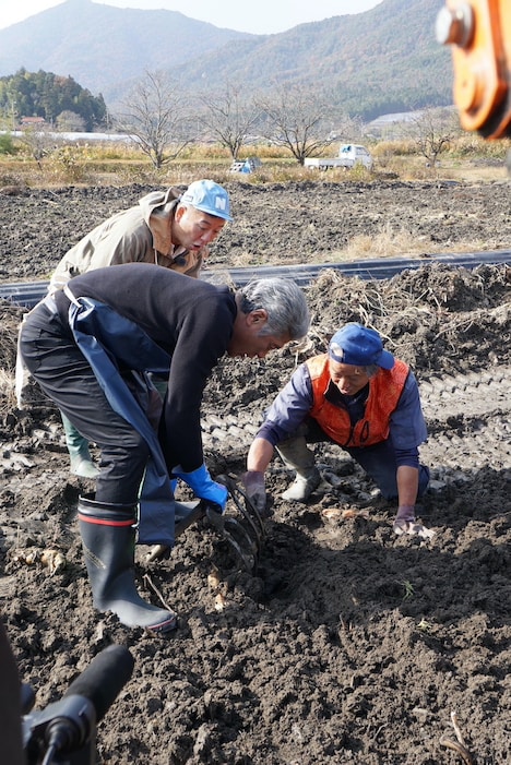 れんこんを掘る吉川晃司。(c) テレビ新広島
