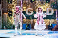 ターコリンとゆうこりん。(c)テレビ東京