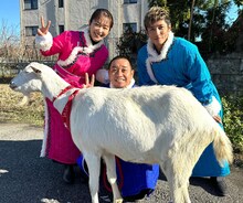 「ヤギと大悟」に出演する優香、玉木宏、千鳥・大悟。(c)テレビ東京