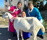 「ヤギと大悟」に出演する優香、玉木宏、千鳥・大悟。(c)テレビ東京