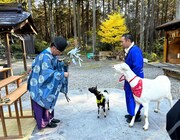 ポポとモロコシの健康祈願。(c)テレビ東京