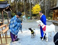 ポポとモロコシの健康祈願。(c)テレビ東京
