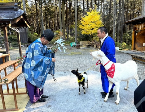 ポポとモロコシの健康祈願。(c)テレビ東京