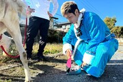 ポポのフンを片付ける玉木宏。(c)テレビ東京