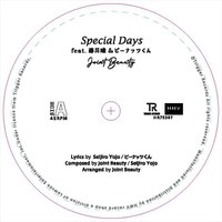 「Special Days」アナログ盤のイメージ。