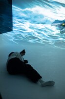 撮影するかが屋・加賀。