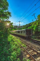 田津原理音作品展「どんな人生、―進―」の展示作品。