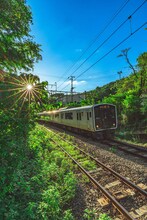 田津原理音作品展「どんな人生、―進―」の展示作品。