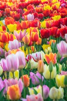 田津原理音作品展「どんな人生、―進―」の展示作品。