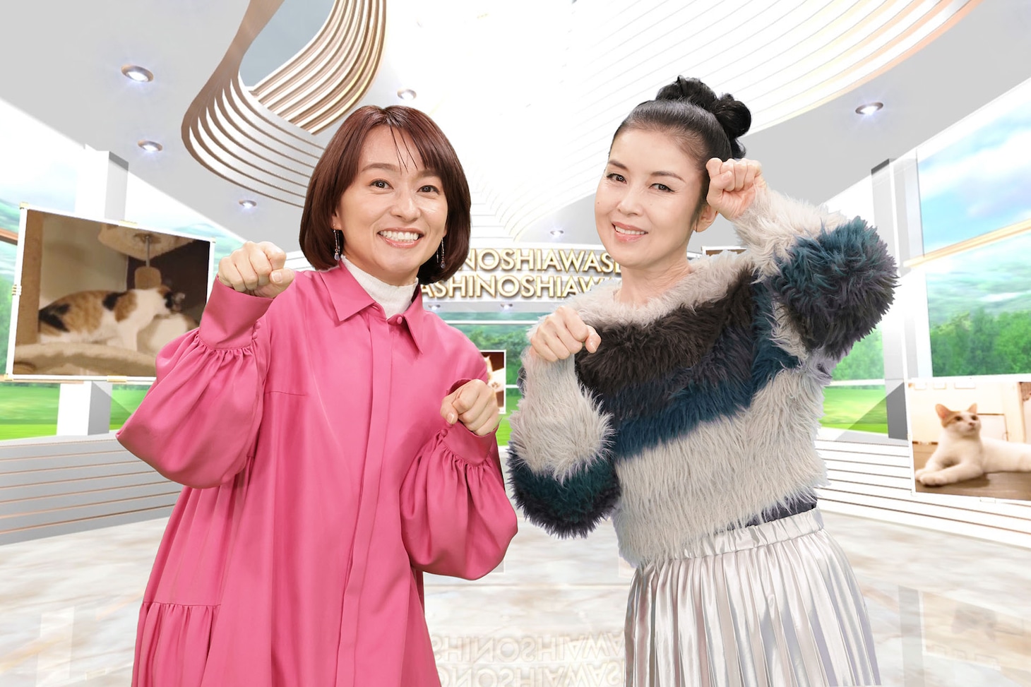 「猫の幸せ 私の幸せ」 (c)BSテレ東