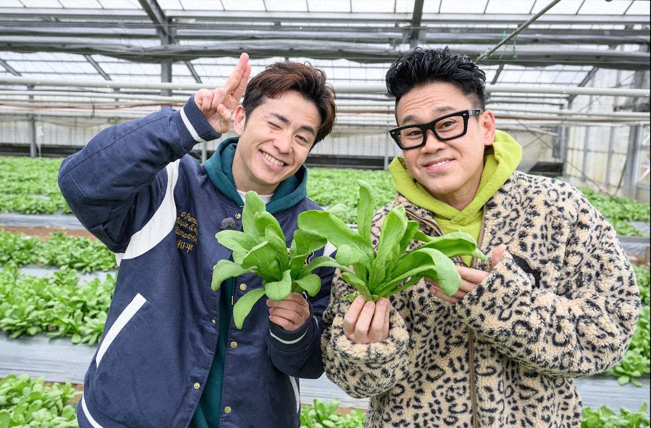 オリラジ藤森が春菊っぽくない見た目の春菊と出会う、食べれば納得「春菊だ！」