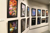 田津原理音 作品展「どんな人生、―進―」の様子。