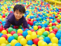 「道の駅まえばし赤城 1周年感謝祭」に用意される「ちびっこボールプール」のイメージ。