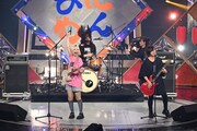 「なにわんFES2024」のワンシーン。(c)NHK