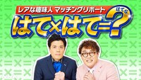 「レアな趣味人 マッチングリポート はて×はて＝？」