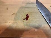 唐辛子を輪切りにする。