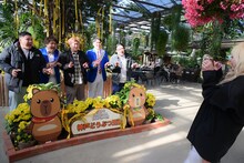 「ダブルヒガシのなんばdeルンバ！」のワンシーン。