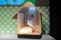 巨大巣箱の内観。