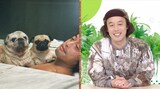 「ネコいぬワイドショー」に「いぬコメンテーター」としてゲスト出演する、エレキコミックやつい。(c)BS朝日