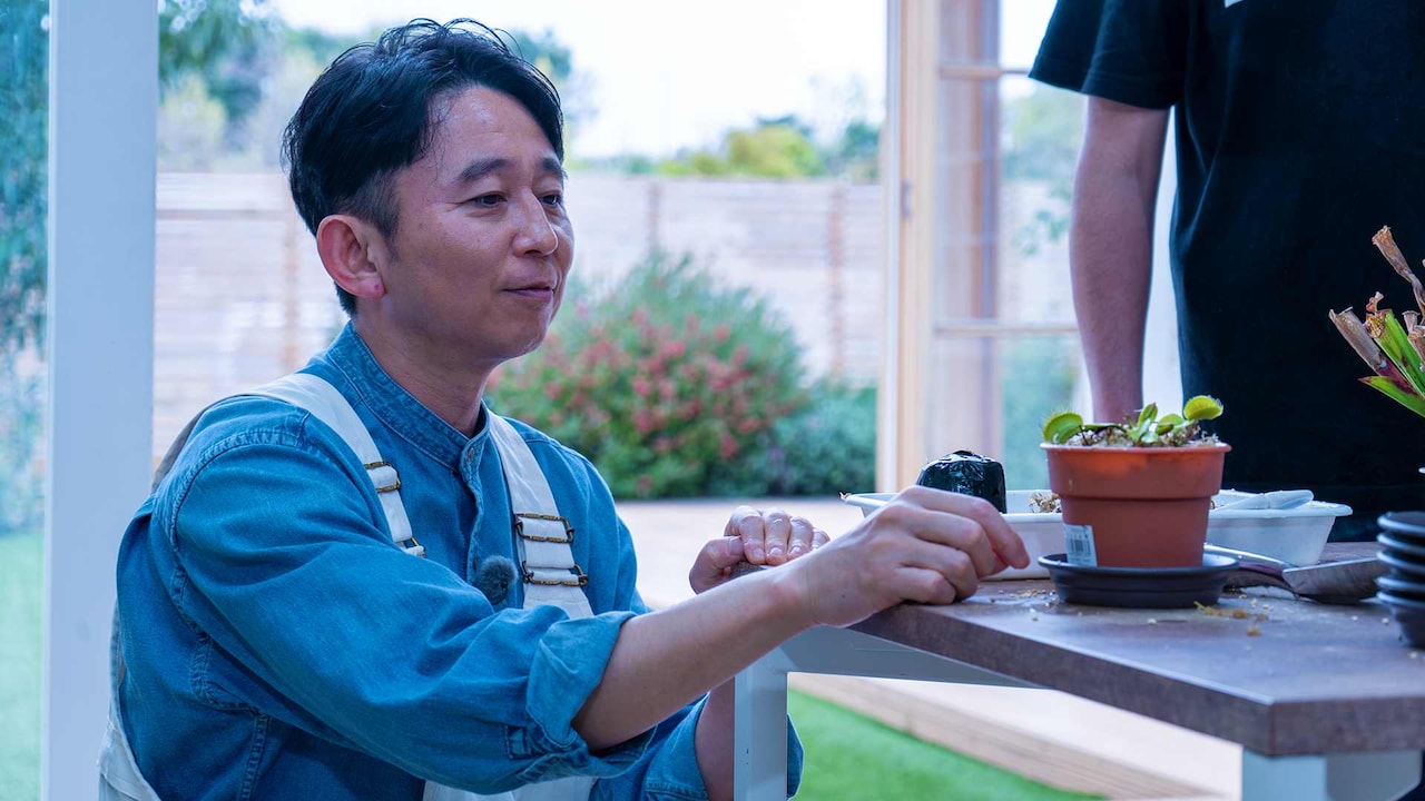 有吉、園芸番組で食虫植物を学ぶ「ハエトリソウの捕食のスピードにはビックリ！」