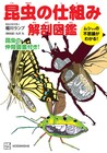 「学者すぎる仕事でした！」昆虫好き芸人・堀川ランプ著「昆虫の仕組み解剖図鑑」発売