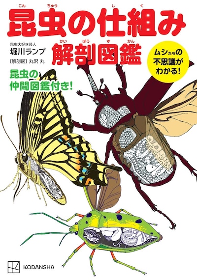 「昆虫の仕組み解剖図鑑 ～ムシたちの不思議がわかる～」表紙