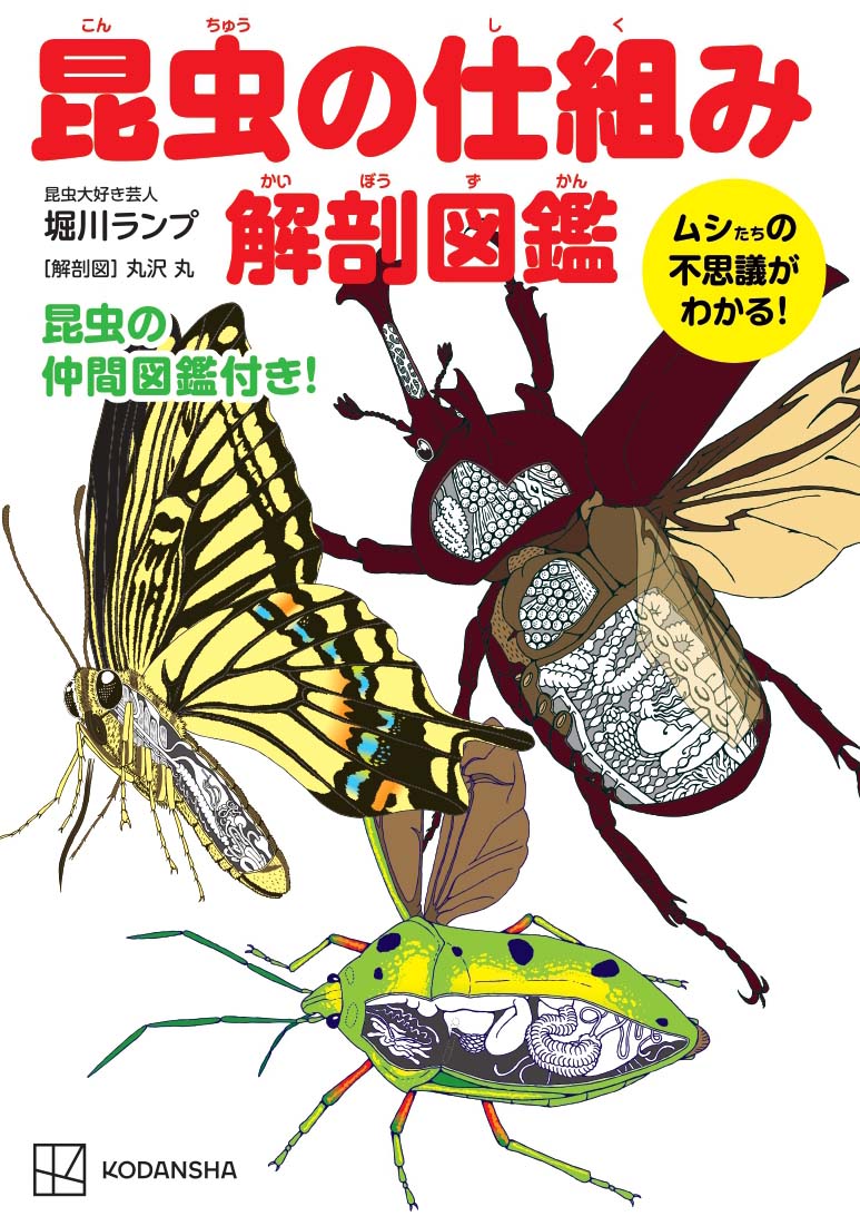 「昆虫の仕組み解剖図鑑 ～ムシたちの不思議がわかる～」表紙