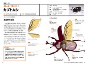 「昆虫の仕組み解剖図鑑 ～ムシたちの不思議がわかる～」より。